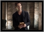 Stephen Moyer, Czysta Krew, True Blood